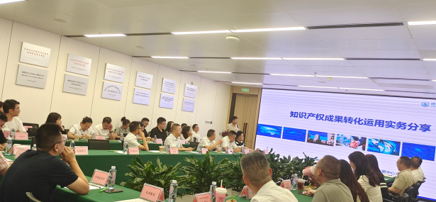 蓉漂咖啡·知产护航，绿创未来——四川“两新”组织联建活动顺利举办，引领技术服务新篇章